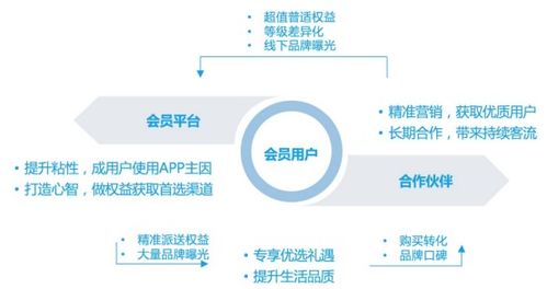 如何做好会员营销 会员数字化营销系统怎么做